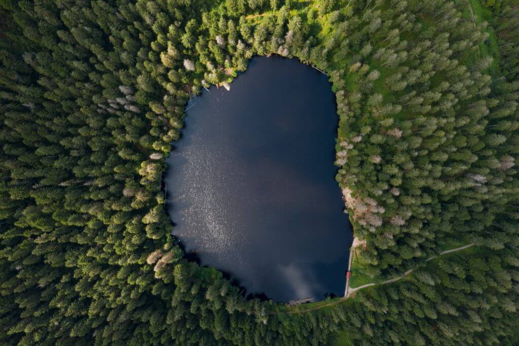 Selva Negra, Suiza y Alsacia